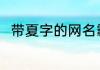 带夏字的网名霸气的 带夏字的网名