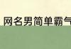 网名男简单霸气二字 适合男生的网名