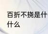 百折不挠是什么意思 百折不挠意思是什么