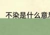 不染是什么意思 不染唱的什么意思