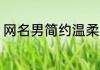 网名男简约温柔 关于男生的简约网名
