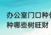 办公室门口种什么树旺财 办公室门口种哪些树旺财