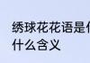 绣球花花语是什么意思 绣球花花语是什么含义