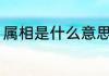属相是什么意思 属相指的是什么意思