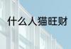 什么人猫旺财 属什么的人养猫旺财
