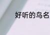 好听的鸟名 好听的鸟名介绍