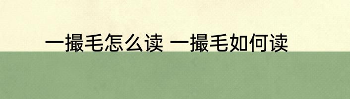 一撮毛怎么读 一撮毛如何读