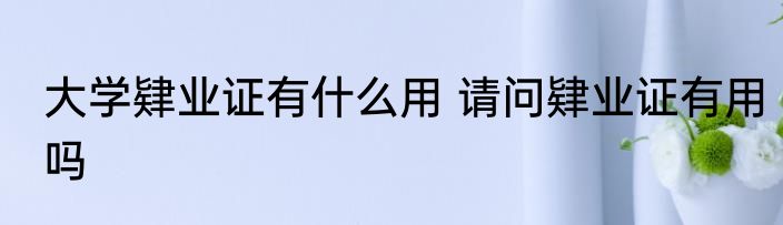 大学肄业证有什么用 请问肄业证有用吗