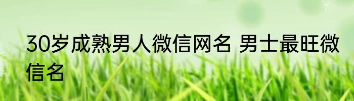 30岁成熟男人微信网名 男士最旺微信名