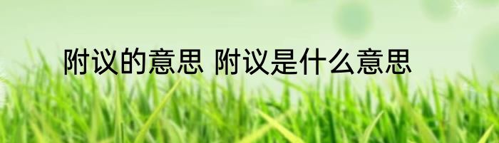 附议的意思 附议是什么意思