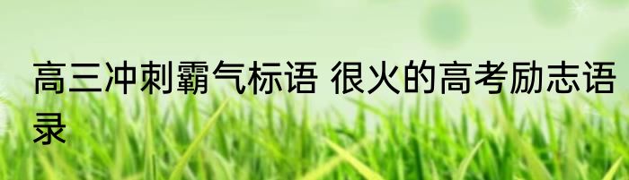 高三冲刺霸气标语 很火的高考励志语录
