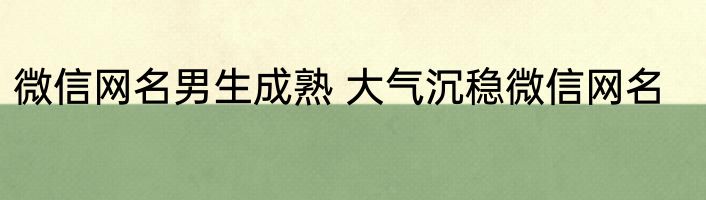 微信网名男生成熟 大气沉稳微信网名