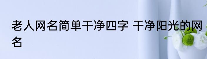 老人网名简单干净四字 干净阳光的网名
