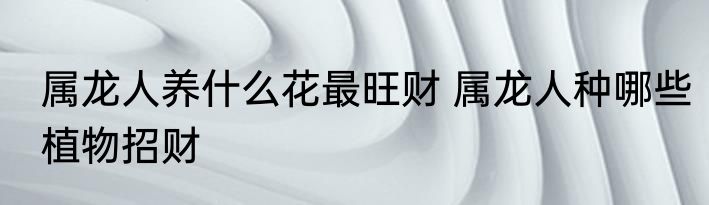 属龙人养什么花最旺财 属龙人种哪些植物招财