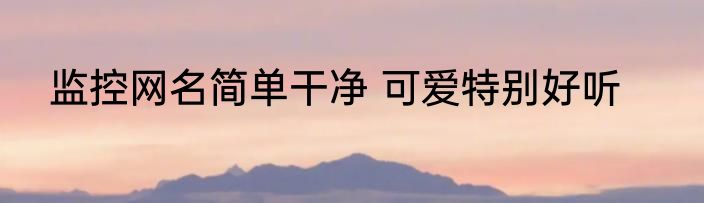 监控网名简单干净 可爱特别好听