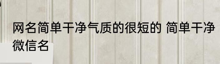 网名简单干净气质的很短的 简单干净微信名