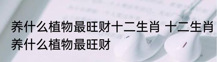 养什么植物最旺财十二生肖 十二生肖养什么植物最旺财