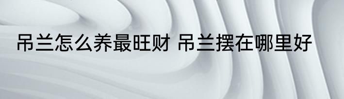 吊兰怎么养最旺财 吊兰摆在哪里好