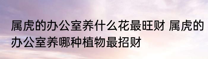 属虎的办公室养什么花最旺财 属虎的办公室养哪种植物最招财