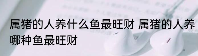 属猪的人养什么鱼最旺财 属猪的人养哪种鱼最旺财