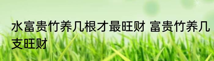 水富贵竹养几根才最旺财 富贵竹养几支旺财