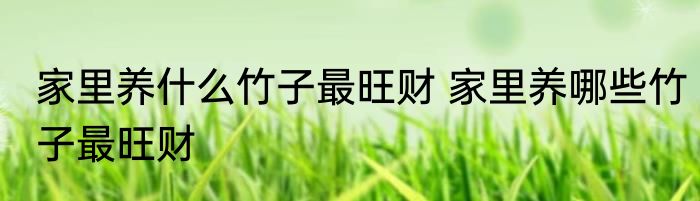 家里养什么竹子最旺财 家里养哪些竹子最旺财