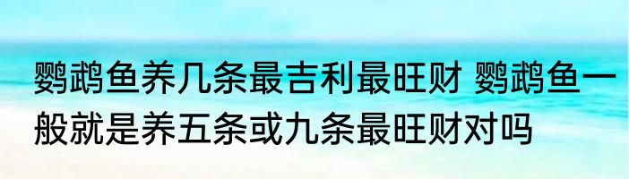 鹦鹉鱼养几条最吉利最旺财 鹦鹉鱼一般就是养五条或九条最旺财对吗