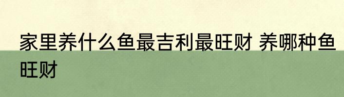 家里养什么鱼最吉利最旺财 养哪种鱼旺财