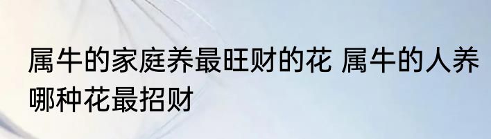 属牛的家庭养最旺财的花 属牛的人养哪种花最招财