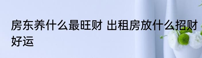 房东养什么最旺财 出租房放什么招财好运