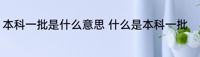 本科一批是什么意思 什么是本科一批