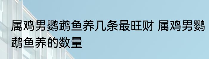 属鸡男鹦鹉鱼养几条最旺财 属鸡男鹦鹉鱼养的数量
