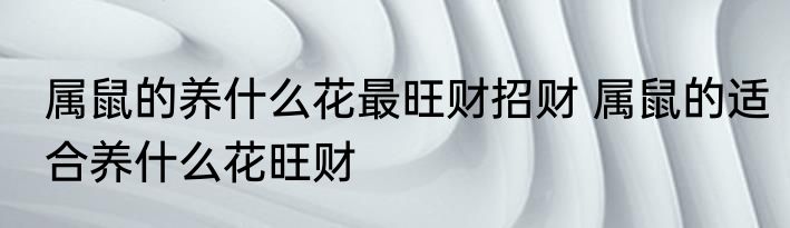 属鼠的养什么花最旺财招财 属鼠的适合养什么花旺财