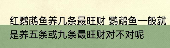 红鹦鹉鱼养几条最旺财 鹦鹉鱼一般就是养五条或九条最旺财对不对呢