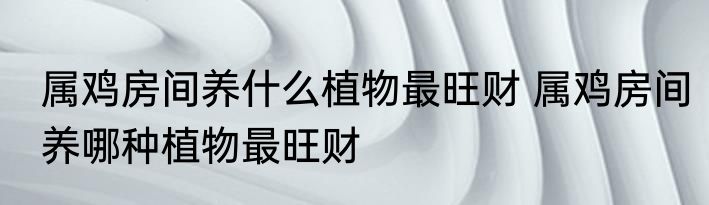 属鸡房间养什么植物最旺财 属鸡房间养哪种植物最旺财