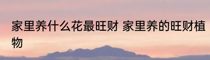 家里养什么花最旺财 家里养的旺财植物