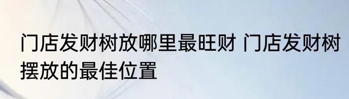 门店发财树放哪里最旺财 门店发财树摆放的最佳位置