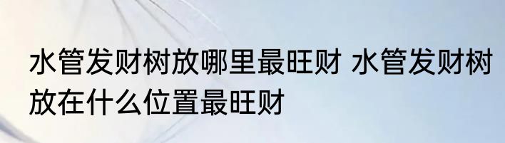 水管发财树放哪里最旺财 水管发财树放在什么位置最旺财