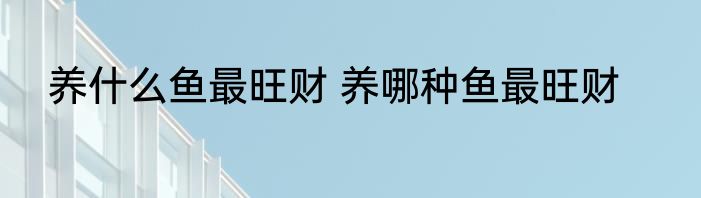 养什么鱼最旺财 养哪种鱼最旺财