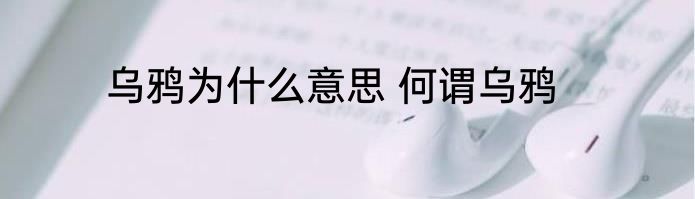 乌鸦为什么意思 何谓乌鸦