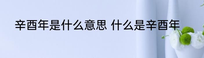 辛酉年是什么意思 什么是辛酉年