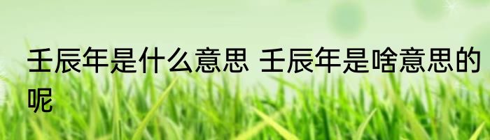 壬辰年是什么意思 壬辰年是啥意思的呢