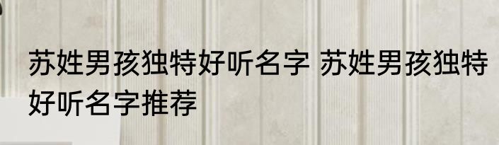 苏姓男孩独特好听名字 苏姓男孩独特好听名字推荐