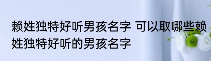 赖姓独特好听男孩名字 可以取哪些赖姓独特好听的男孩名字