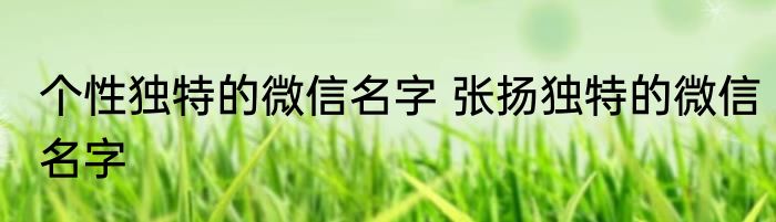 个性独特的微信名字 张扬独特的微信名字