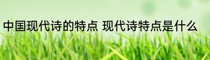 中国现代诗的特点 现代诗特点是什么