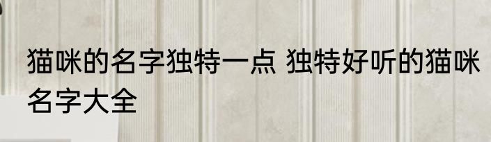 猫咪的名字独特一点 独特好听的猫咪名字大全