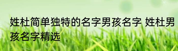 姓杜简单独特的名字男孩名字 姓杜男孩名字精选