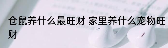 仓鼠养什么最旺财 家里养什么宠物旺财