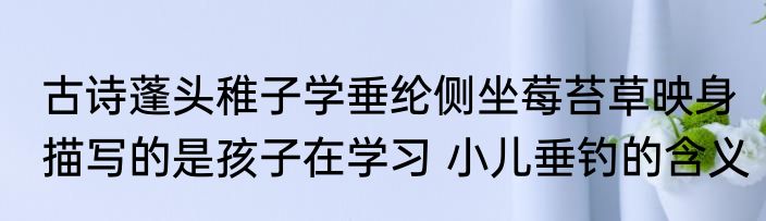 古诗蓬头稚子学垂纶侧坐莓苔草映身描写的是孩子在学习 小儿垂钓的含义
